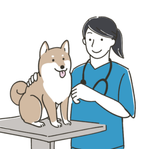 Avatar Dottoressa Veterinaria Avatar Dottoressa Veterinaria