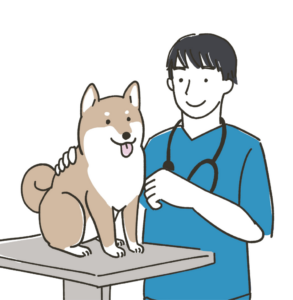 Avatar Medico Veterinario Avatar Medico Veterinario