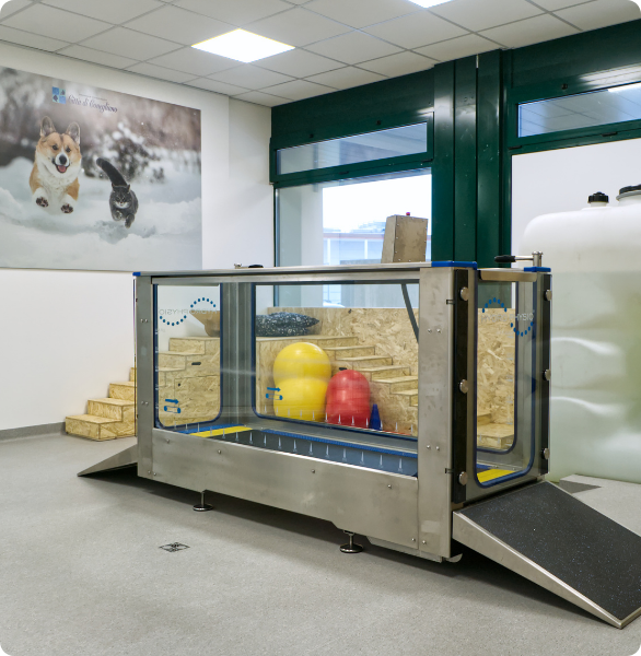 Area fisioterapia veterinaria Area attrezzata per fisioterapia e riabilitazione veterinaria presso l’Ospedale Veterinario Città di Conegliano.