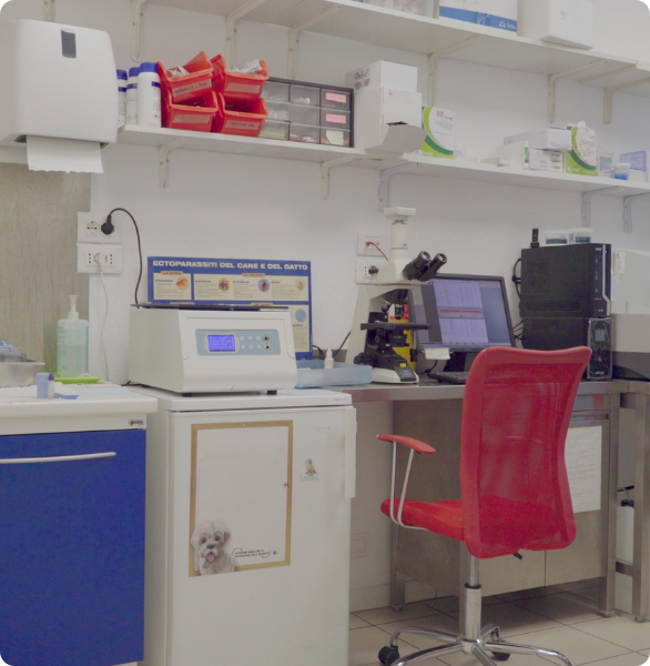 Laboratorio analisi interno Laboratorio di analisi veterinarie attrezzato per esami diagnostici su campioni biologici.