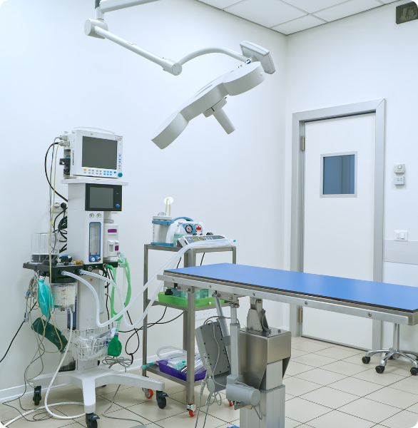 Sala chirurgica Conegliano Sala chirurgica veterinaria attrezzata per interventi in anestesia e monitoraggio del paziente.